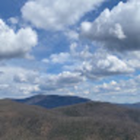 Meet your Posher, Stephanie - Picture 1 of 1